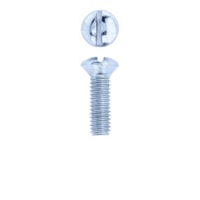 Cover Plate Screw